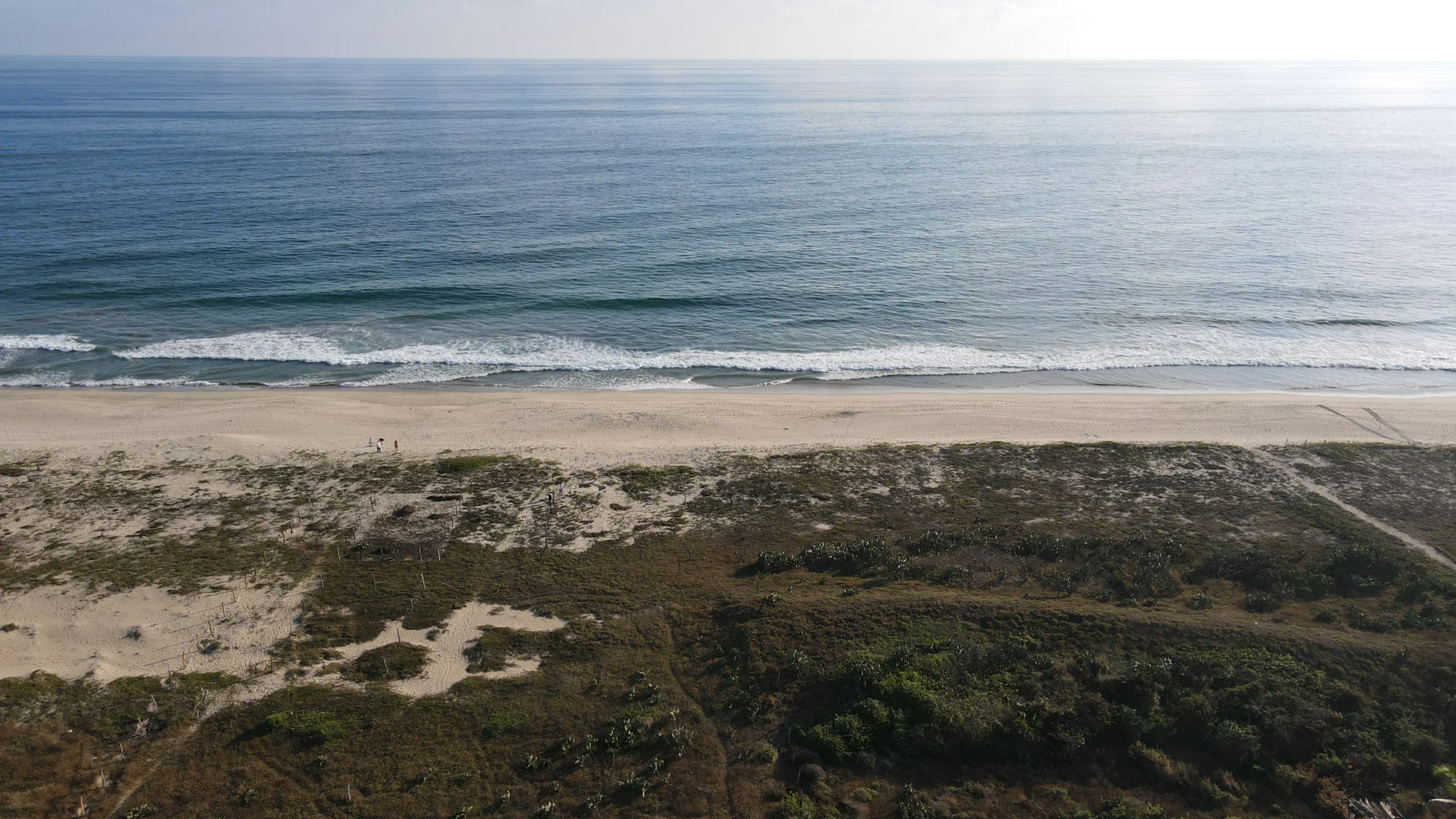 DJI_0238