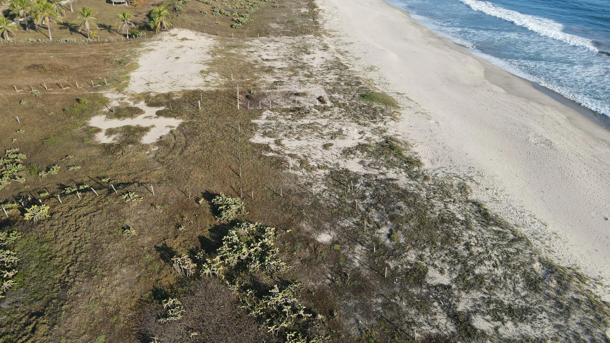 DJI_0260