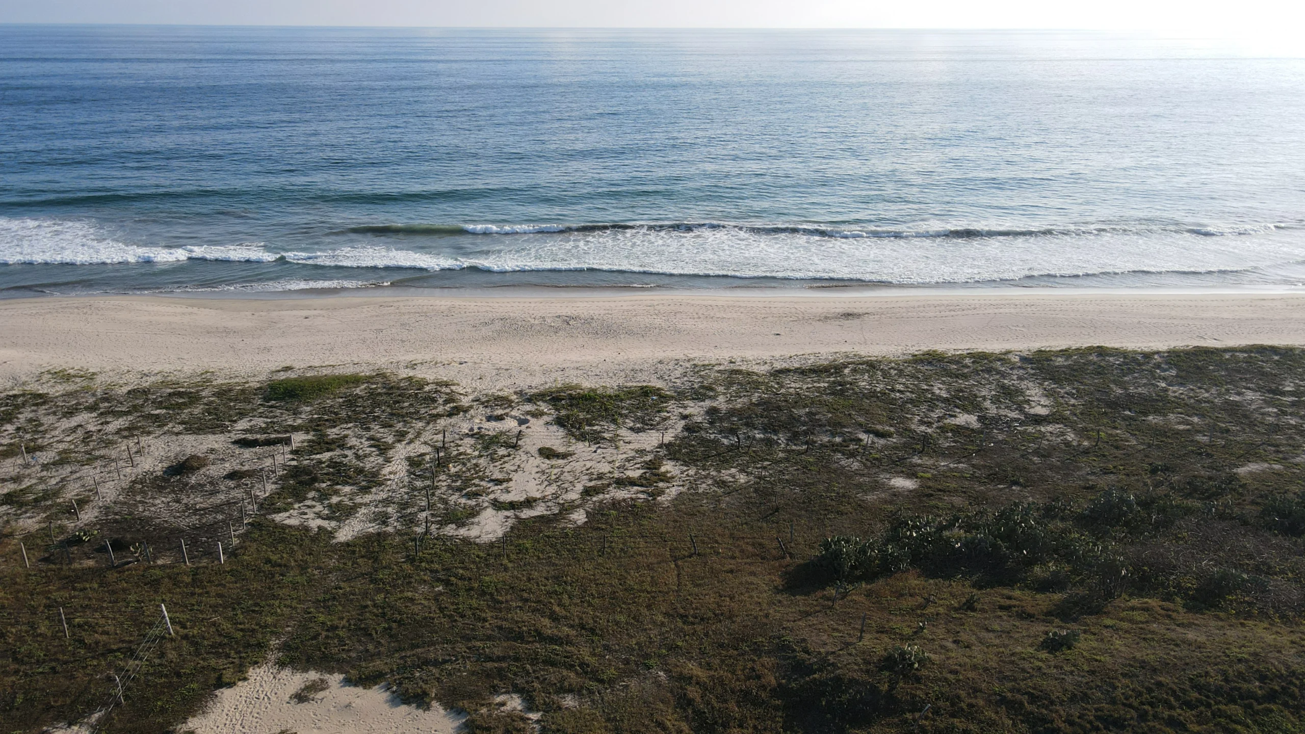 DJI_0263