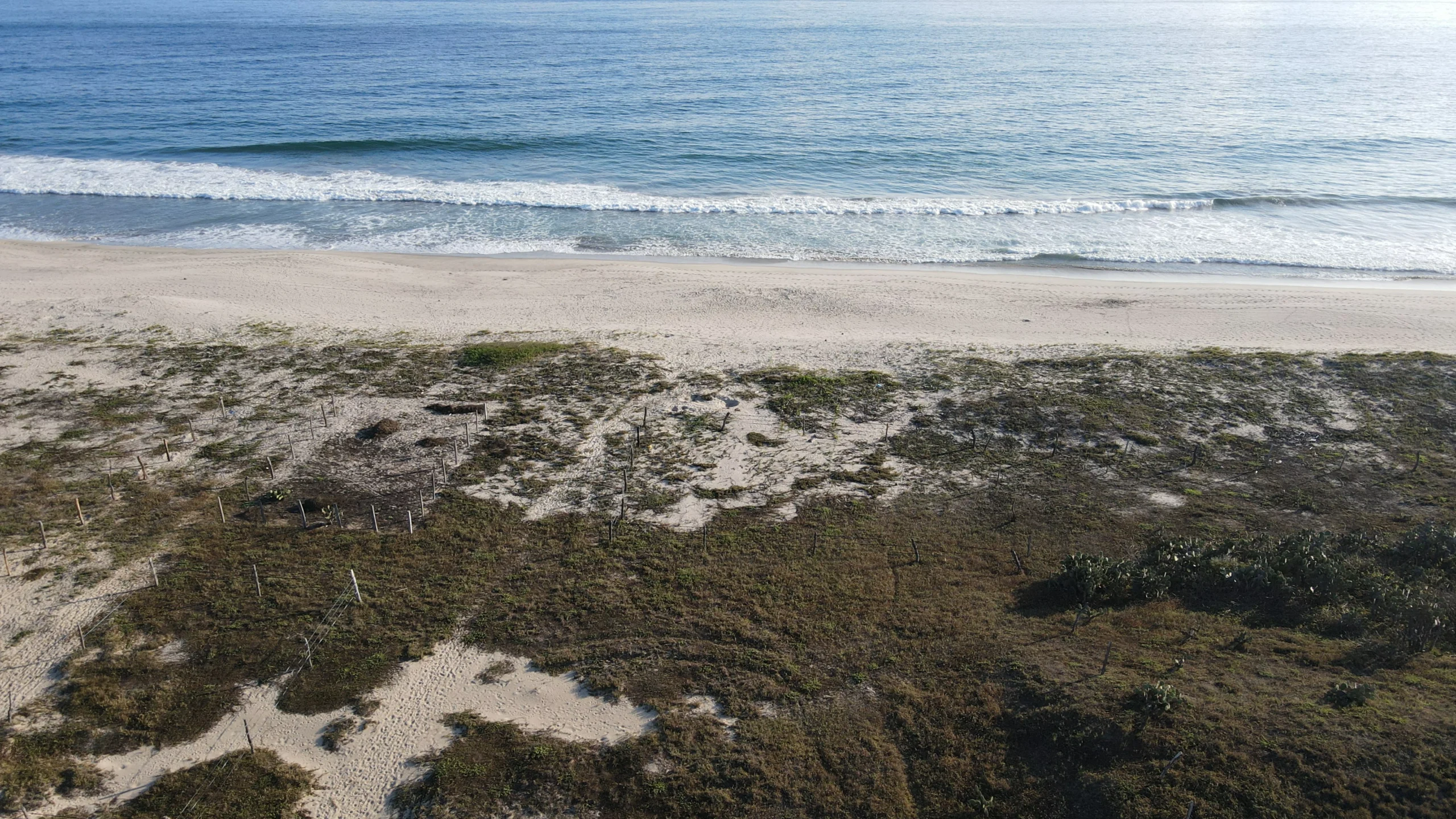 DJI_0264