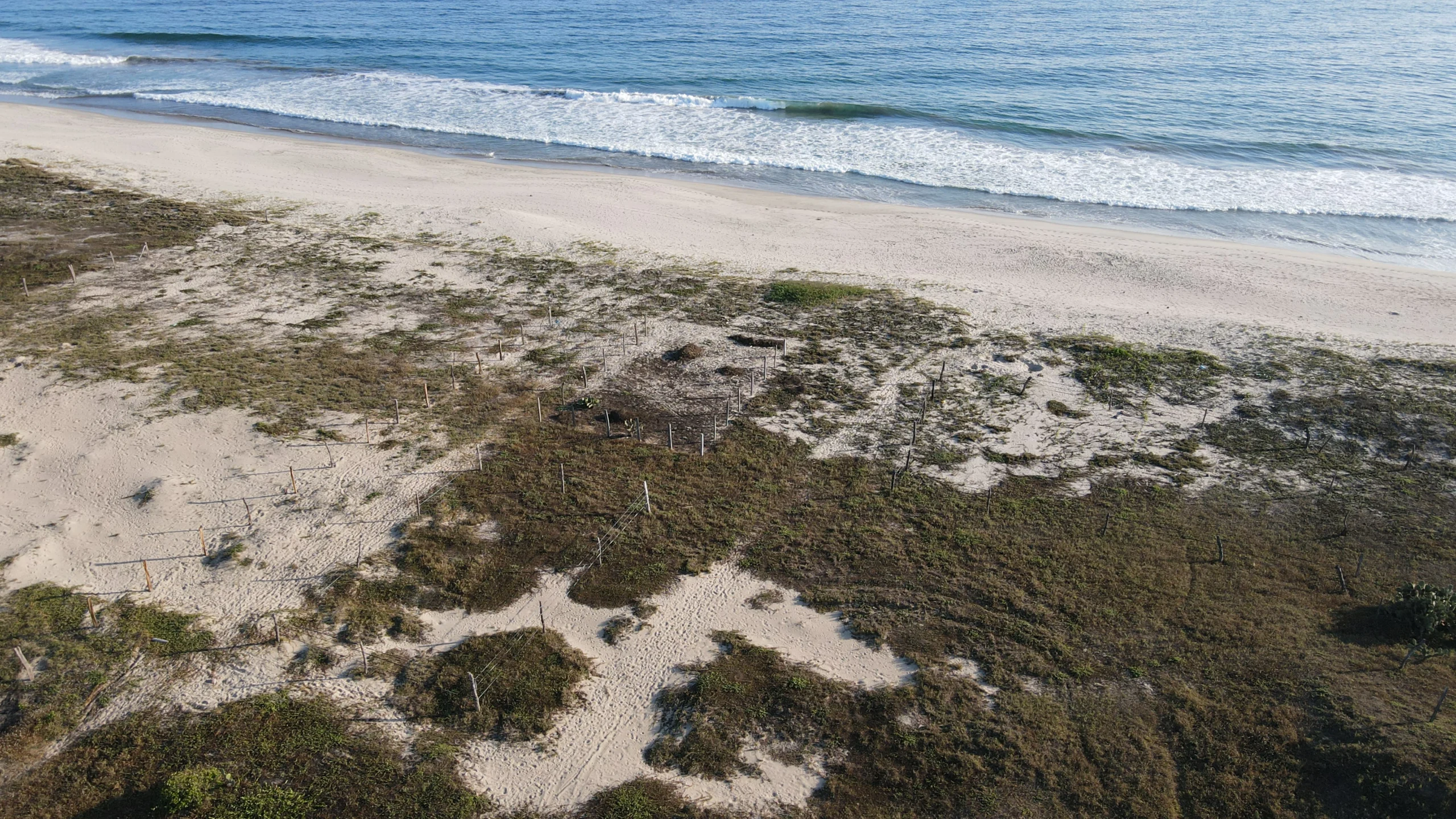 DJI_0267